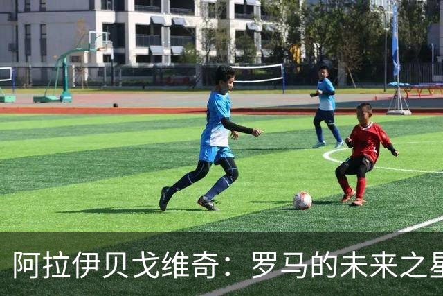 阿拉伊贝戈维奇：罗马的未来之星，意甲转会市场的焦点